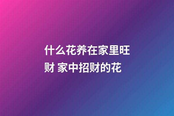 什么花养在家里旺财 家中招财的花